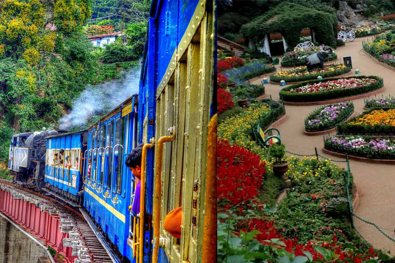 A P T TRAVELS Ooty Tour Packages